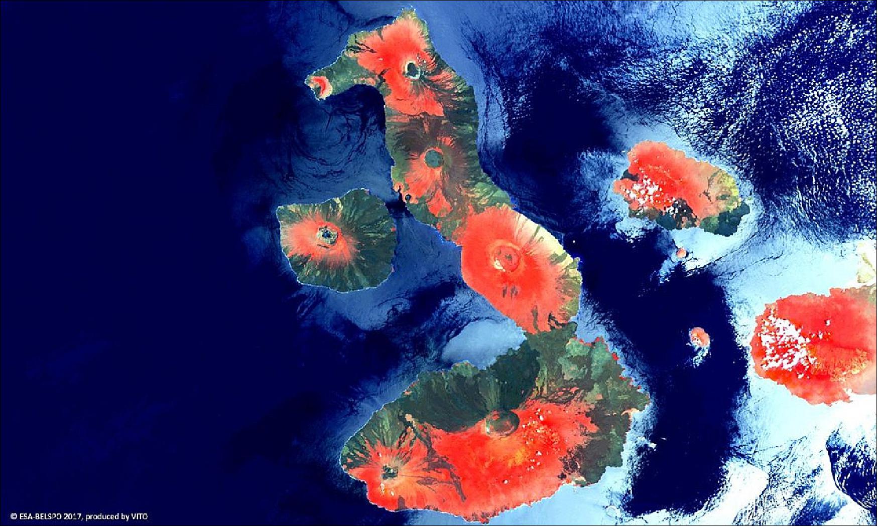 Figure 26: This false color composition highlights vegetation in red on the flanks of several volcanoes, in particular Wolf, Darwin, Alcedo, Santo Tomás and Cerro Azul volcanoes on Isla Isabella, the largest island. Its main camera's continent-spanning 2250 km swath width collects light in the blue, red, near-infrared and mid-infrared wavebands at a 300 m pixel size, down to 100 m in its central field of view (image credit: ESA/Belspo – produced by VITO)