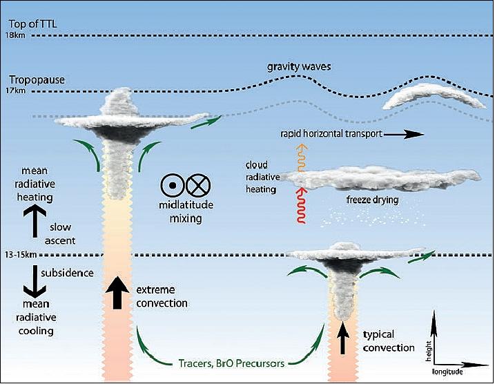 Figure 1: Schematic diagram showing TTL physical processes, including large-scale transport, detrainment from deep convection, gravity waves, thin cirrus, and radiative heating (image credit: ATTREX Team)
