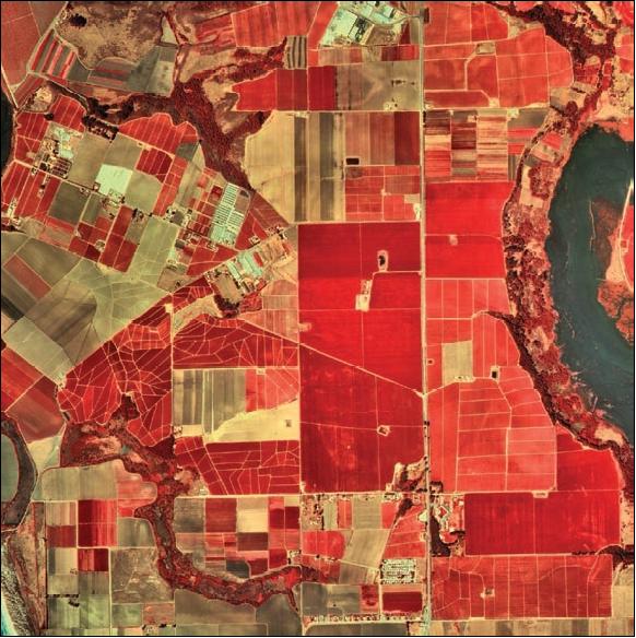 Figure 4: Four meter MS image of crops illustrating differences in vegetation growth (image credit: ORBIMAGE)