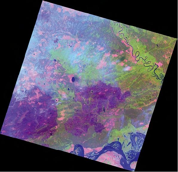 Figure 8: Burnt areas (dark purple) and smoke plumes in Central Russia (Nizhny Novgorod region, Republic of Mariy El). SPOT 4 image acquired on 4 August 2010 (image credit: EADS Astrium) 18)