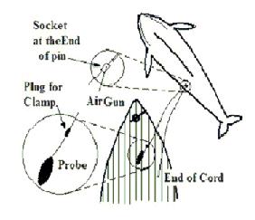 Figure 7: Concept of probe attachment (image credit: Chiba Institute of Technology)