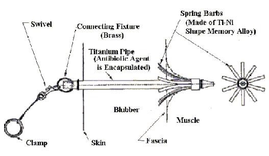 Figure 5: Illustration of the probe's pin structure (image credit: Chiba Institute of Technology)