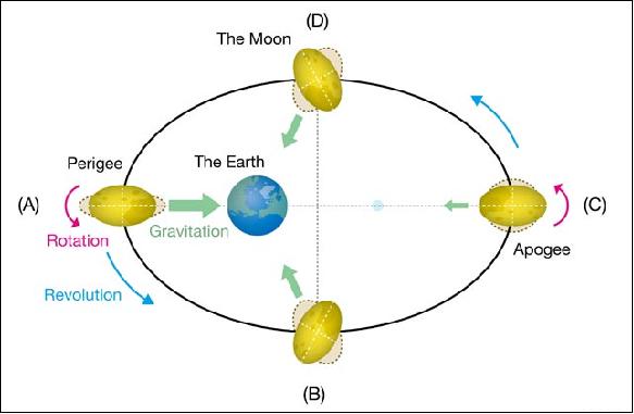 Figure 12: This is the pattern diagram of the Moon shape changing by the Earth's gravitational force. It especially shows deformed shape by that the movement of the Moon to the Earth is out of complete circle. For clarity, it draws deformed larger than the actual. (image credit: NAOJ)