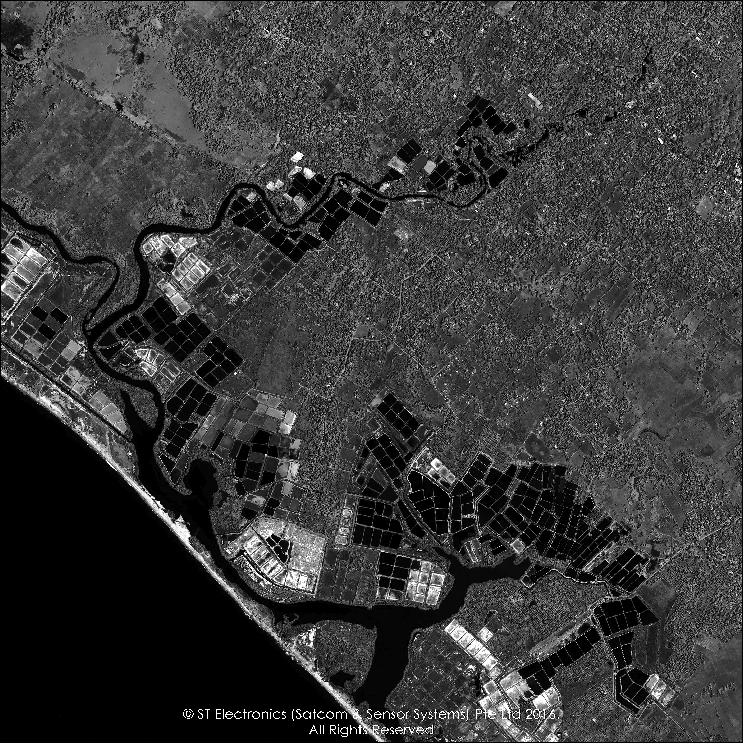 Figure 5: Sample high-resolution TeLEOS-1 image of Udappu (rice) paddy fields in Sri Lanka, acquired on January 9, 2017 (image credit: ST Electronics)