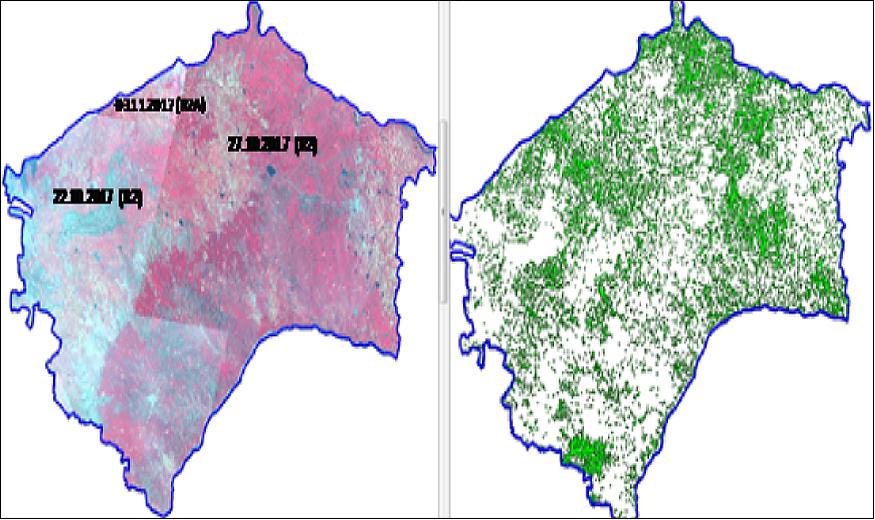 Figure 9: FCC of Resourcesat-2& -2A LISS III and classified image of the cotton area in the Raichur District, Karnataka (image credit: MNCFC)