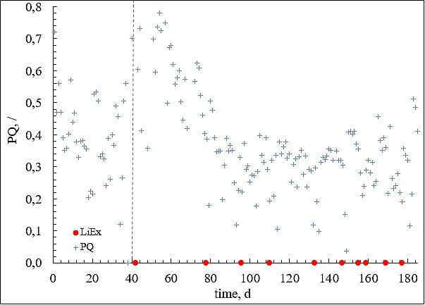 Figure 11: Photosynthetic activity of C.vulgaris SAG211-12 during long term cultivation. PQ values are averaged over 24 h. Dashed line, change of lighting regime (image credit: University of Stuttgart)