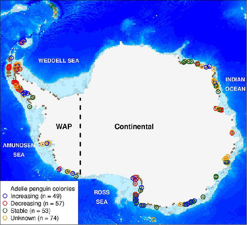 Figure 59: Adélie penguin breeding colonies and population status across Antarctica (image credit: Penguin Science Team)