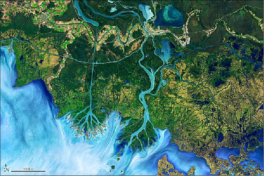 Figure 31: OLI image on Landsat-8 of ponds in three watersheds along the Mississippi River south of New Orleans, acquired on December 1, 2016 (image credit: NASA Earth Observatory, images by Joshua Stevens, using Landsat data from the USGS and data from Ortiz, A. C., Roy, S., & Edmonds, D. A. (2017), story by Pola Lem)