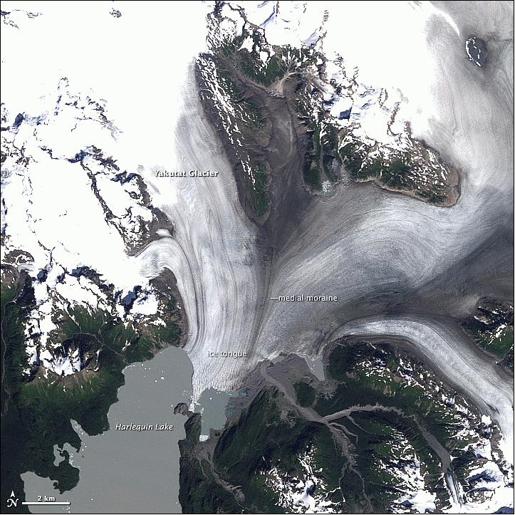 Figure 106: Image of the Yakutat Glacier acquired with the TM instrument on Landsat-5 on August 22, 1987 (image credit: NASA, USGS Earth Observatory)