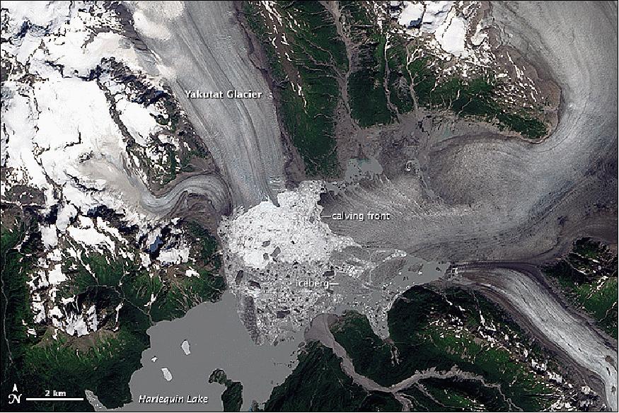 Figure 105: Image of the Yakutat Glacier acquired with the OLI instrument of Landsat-8 on August 13, 2014 (image credit: NASA, USGS Earth Observatory)