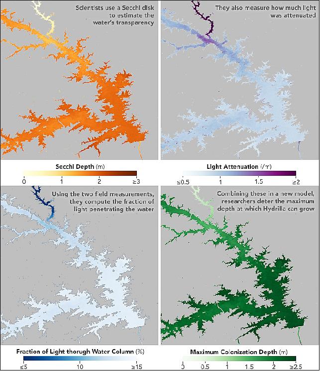 Figure 59: Model representation to estimate the water's transparency, light attenuation, etc. of the Hydrilla influence (image credit: NASA Earth Observatory, map by Jesse Allen, using Landsat data from the USGS and field observations and model data provided by Abhishek Kumar, University of Georgia; caption by Kathryn Hansen)