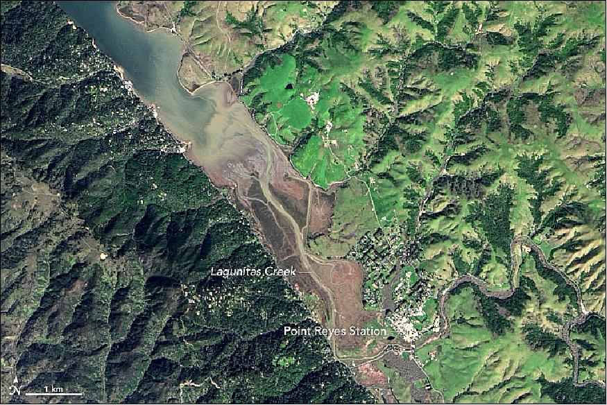 Figure 35: OLI on Landsat-8 captured this natural-color image of part of Tomales Bay on March 1, 2017. Lagunitas Creek, a northward-flowing stream that offers critical habitat for the endangered coho salmon, roughly traces the fault (image credit: NASA Earth Observatory , images by Jesse Allen, using Landsat data from the USGS, story by Adam Voiland)