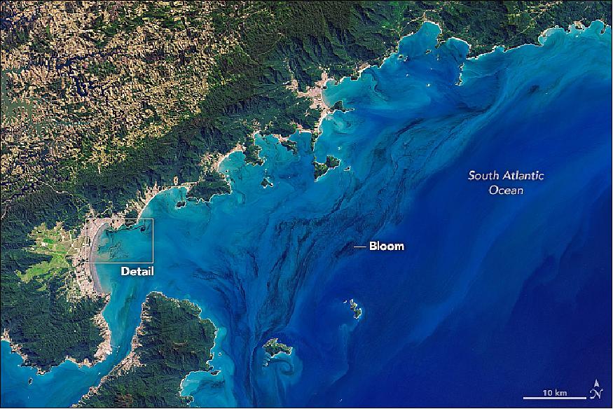 Figure 21: OLI image off the coast of the Brazilian state of São Paulo, captured on Sept. 5, 2017, showing blooms spanning more than 100 km (image credit: NASA Earth Observatory, images by Joshua Stevens, using Landsat data from the USGS. Story by Kathryn Hansen)
