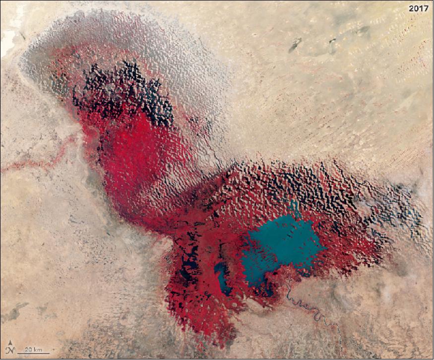 Figure 9: False-color image of Lake Chad acquired by OLI on Landsat-8 in 2017 (image credit: NASA Earth Observatory, images using Landsat data provided by the USGS, Story by Kathryn Hansen)