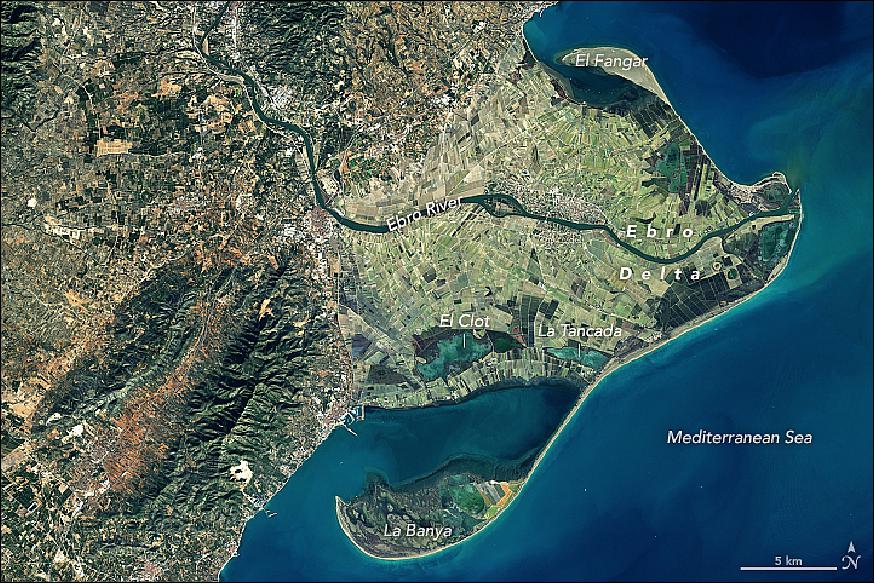 Figure 57: This natural-color Landsat-8 image was acquired on 31 January 2018. One can see the modern La Banya and El Fangar spits and the southern lagoons that were once bays, as well as the suspended sediment plume exiting the river's mouth (image credit: NASA Earth Observatory, image by Michael Taylor and Joshua Stevens, using Landsat data from the USGS, story by Laura Rocchio)