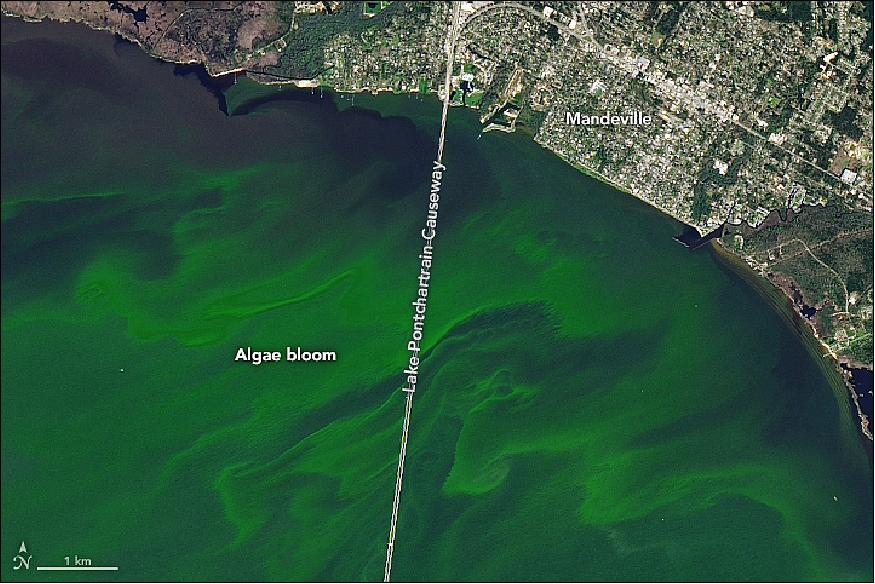 Figure 50: Blooms of phytoplankton appeared in Lake Pontchartrain several times in March 2018. OLI on Landsat-8 acquired this image of a colorful bloom on March 3, 2018 (image credit: NASA Earth Observatory, image by Joshua Stevens, using Landsat data from the U.S. Geological Survey, story by Kathryn Hansen)