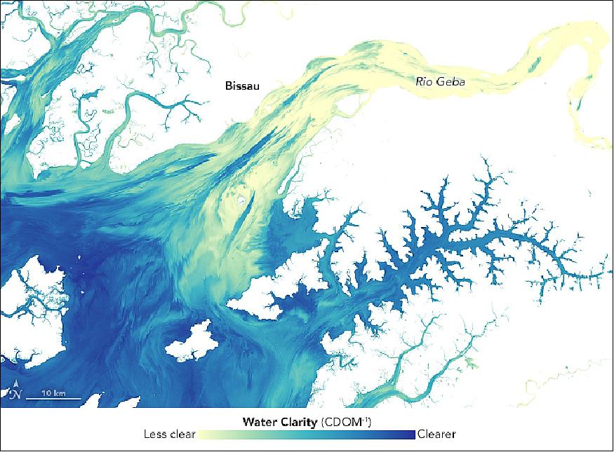 Figure 39: This map shows a more detailed look at how colored dissolved organic matter (CDOM) discolors the water. Organic matter—such as leaves, roots, or bark—contain pigments and chemicals that can color the water when they dissolve. Depending on the amount of dissolved particles, the water in natural–color imagery can appear blue, green, yellow, or even brown as the CDOM concentration increases. In this data visualization, the amount of CDOM is represented in yellows, greens, and blues (with blue indicating clearer water). Note the difference in water clarity as the streams flow from inland towards the ocean (image credit: NASA Earth Observatory, image by Joshua Stevens, using Landsat data from the USGS. Story by Kasha Patel)