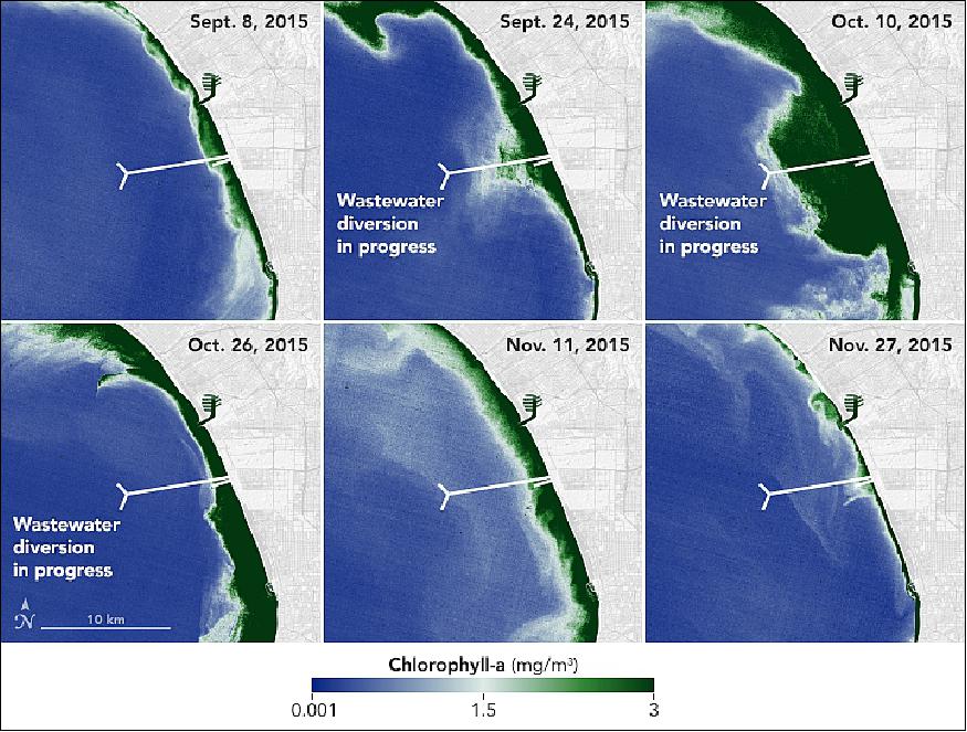 Figure 16: These maps show chlorophyll-a concentrations—a proxy for the amount of phytoplankton in the water—over the six-week pipe diversion period. Four phytoplankton blooms occurred during the diversion (including the one at the top of this page). Researchers who took water samples identified the phytoplankton as non-toxic euglenoids, a type of green algae (image credit: NASA Earth Observatory, images by Joshua Stevens, using data courtesy of Rebecca Trinh/Columbia University, and Landsat data from the U.S. Geological Survey. Story by Kasha Patel)
