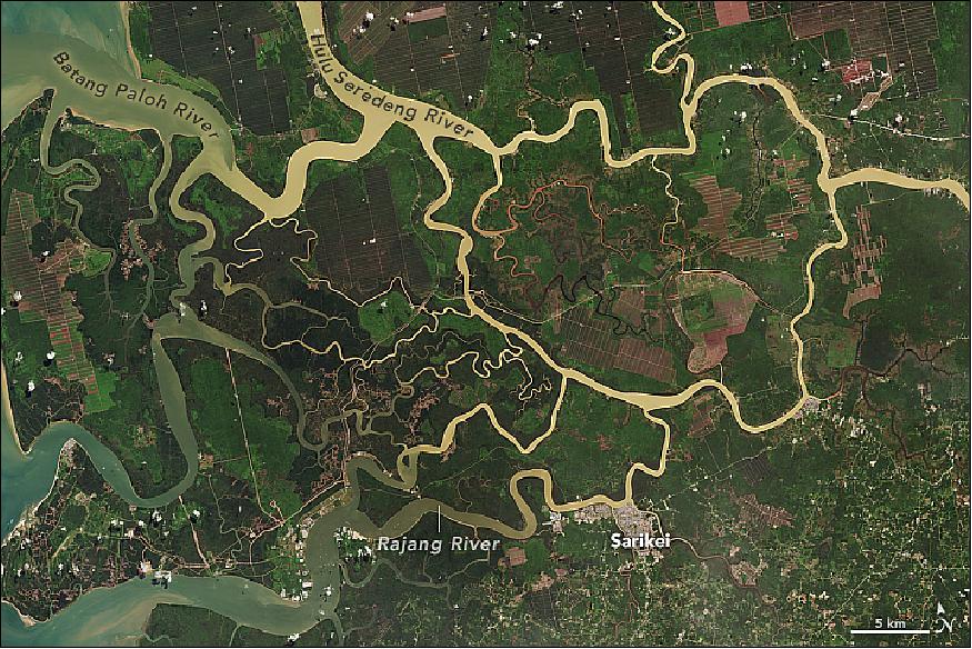 Figure 58: The OLI instrument on Landsat-8 acquired this image on 16 June 2016 of the Sarawak River Delta on the island of Borneo in East Malaysia (image credit: NASA Earth Observatory, image by Mike Taylor, using Landsat data from the USGS. story by Kathryn Hansen, with image interpretation by Robert Gastaldo/Colby College)