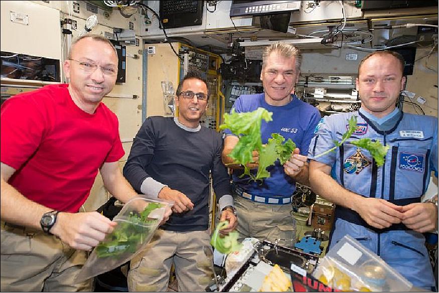 Figure 13: Space lettuce. ESA astronaut Paolo Nespoli and crewmates enjoyed the latest lettuce harvest for dinner on the International Space Station (image credit: ESA)