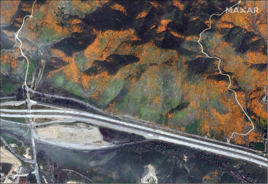 Figure 8: In this image, the Walker Canyon hiking trailhead begins at left just north of Interstate 15. Near the on-ramps to the location, scores of vehicles can be seen parked along the roadside (image credit: Digital Globe, a Maxar Company)