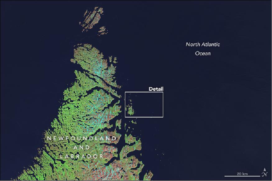 Figure 7: Landsat-8 image of New Foundland and Labrador, showing the Detail region of Figure 6, acquired with OLI on 10 April 2018 (image credit: NASA Earth Observatory, image by Mike Taylor, using Landsat data from the U.S. Geological Survey, Story by Kasha Patel)