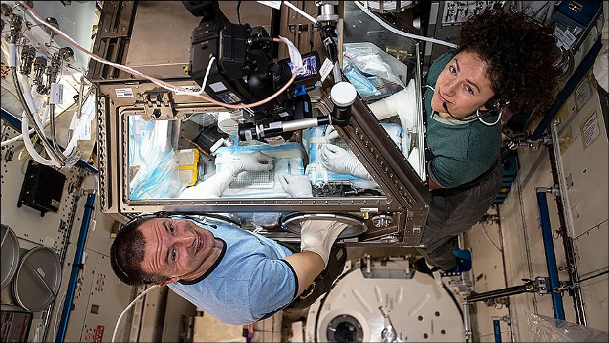 Figure 13: NASA astronauts Andrew Morgan and Jessica Meir conduct research operations inside the Japanese Kibo lab module's Life Sciences Glovebox (image credit: NASA)