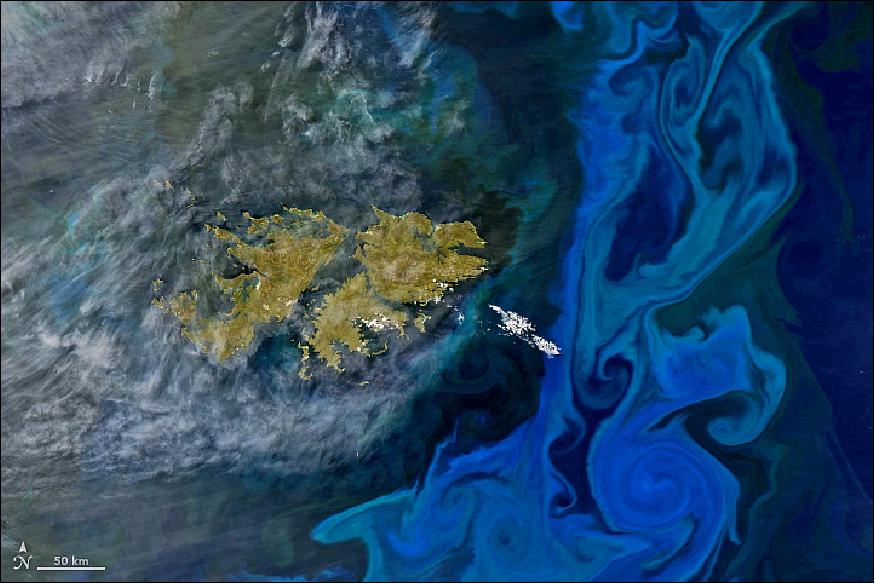 Figure 37: The MODIS instrument on NASA's Aqua satellite acquired this natural color image of phytoplankton near the Falkland Islands on 28 Dec. 2017 (image credit: NASA Earth Observatory, image by Joshua Stevens, using MODIS data from LANCE/EOSDIS Rapid Response, story by Mike Carlowicz)