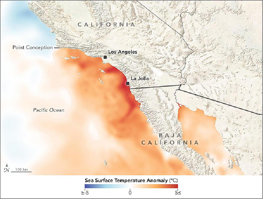 Figure 13: A layer of exceptionally warm surface water extended from Point Conception to the Baja California coast as recorded on 2 Aug. 2018 as compiled by NOAA's Coral Reef Watch (image credit: NASA Earth Observatory, image by Lauren Dauphin, and sea surface temperature data from Coral Reef Watch. Story by Kathryn Hansen)