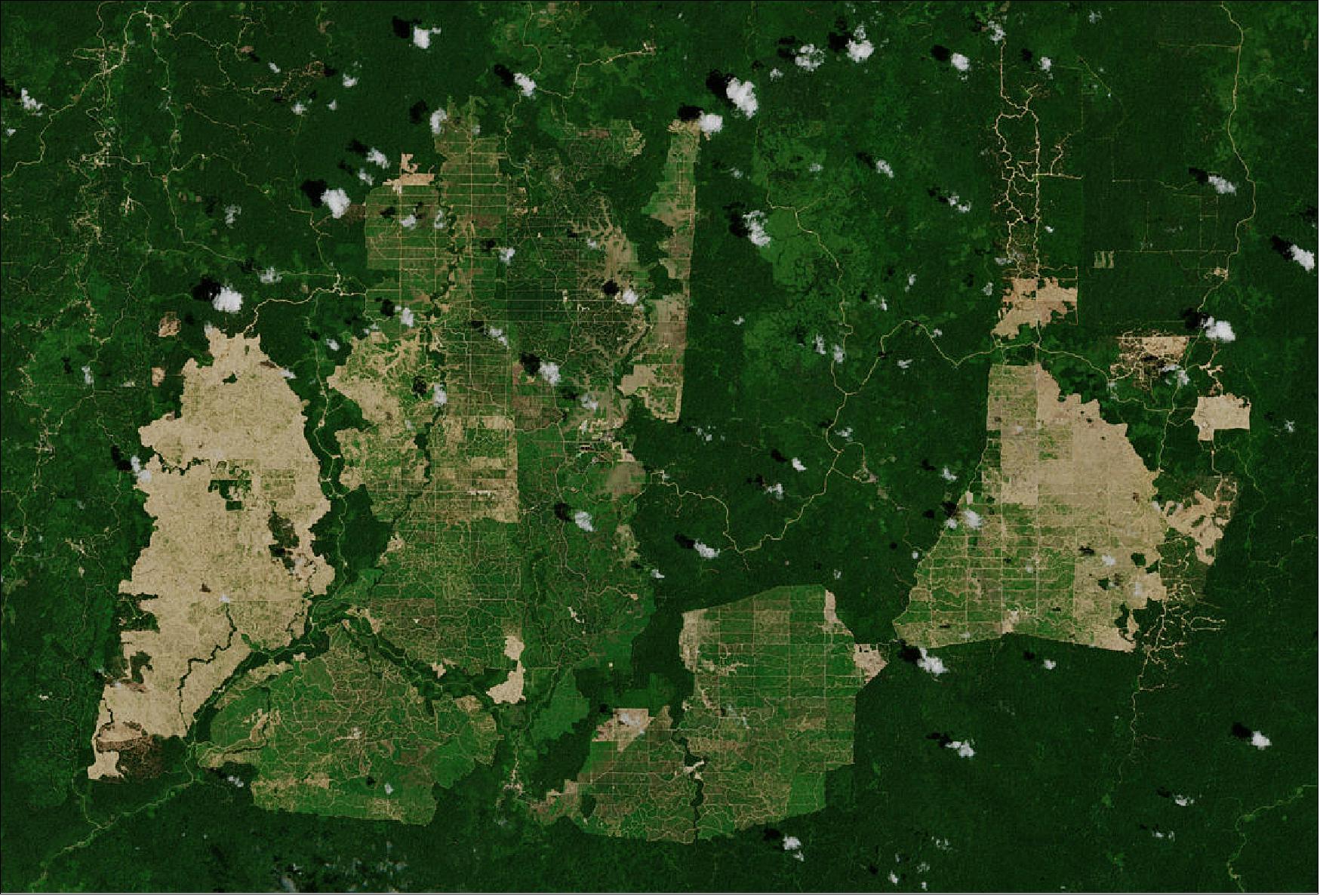 Figure 18: In this image, captured on 15 February 2019, the various stages of the deforestation process are clearly visible – the green patches in the plantations are the well-established palm oil farms, while the light brown patches show the newly-harvested land. The surrounding lush rainforest is visible in dark green. This image is also featured on the Earth from Space video program (image credit: ESA, the image contains modified Copernicus Sentinel data (2019), processed by ESA, CC BY-SA 3.0 IGO)