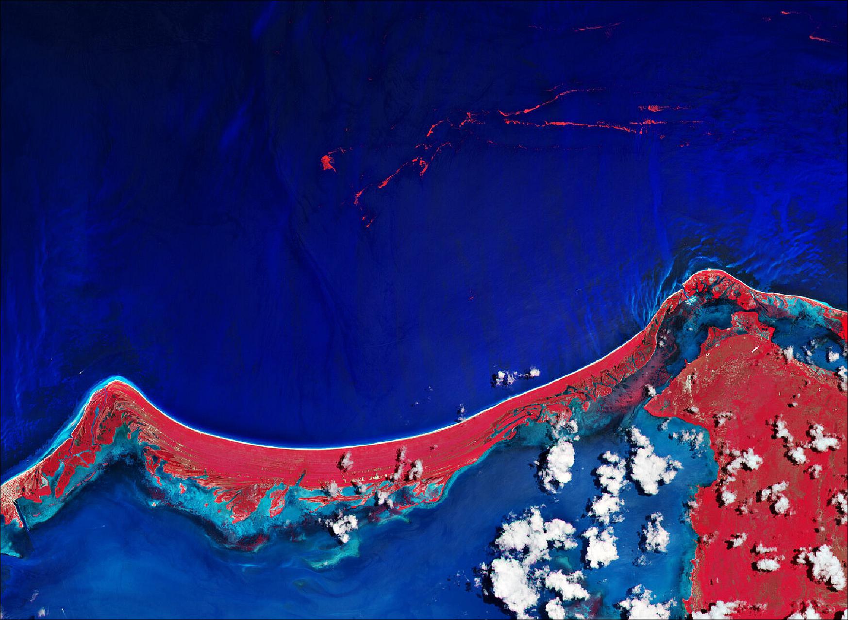 Figure 8: In this image of Sentinel-2, captured on 6 July 2019, the Sargassum floating in the sea can be seen in bright red. This image is also featured on the Earth from Space video program (image credit: ESA, the image contains modified Copernicus Sentinel data (2019), processed by ESA, CC BY-SA 3.0 IGO)