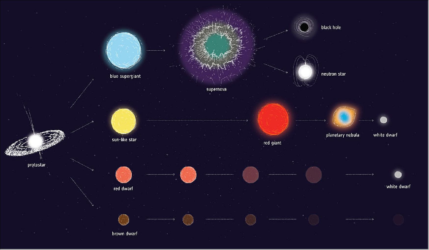 Figure 28: Stellar evolution: Artist impression of some possible evolutionary pathways for stars of different initial masses. Some proto-stars, brown dwarfs, never actually get hot enough to ignite into fully-fledged stars, and simply cool off and fade away. Red dwarfs, the most common type of star, keep burning until they have transformed all their hydrogen into helium, turning into a white dwarf. Sun-like stars swell into red giants before puffing away their outer shells into colorful nebula while their cores collapse into a white dwarf. The most massive stars collapse abruptly once they have burned through their fuel, triggering a supernova explosion or gamma-ray burst, and leaving behind a neutron star or black hole (image credit: ESA)