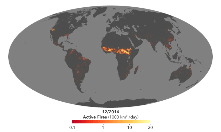Figure 18: The sequence highlights the rhythms—both natural and human-caused—in global fire activity. Bands of fire sweep across Eurasia, North America, and Southeast Asia as farmers clear and maintain fields in April and May. Summer brings new activity in boreal and temperate forests in North America and Eurasia due to lighting-triggered fires burning in remote areas. In the tropical forests of South America and equatorial Asia, fires flare up in August, September, and October as people make use of the dry season to clear rainforest and savanna, as well as stop trees and shrubs from encroaching on already cleared land. Few months pass in Australia without large numbers of fires burning somewhere on the continent’s vast grasslands, savannas, and tropical forests (image credit: NASA Earth Observatory, image by Lauren Dauphin, using MODIS data from NASA EOSDIS/LANCE and GIBS/Worldview. Story by Adam Voiland)