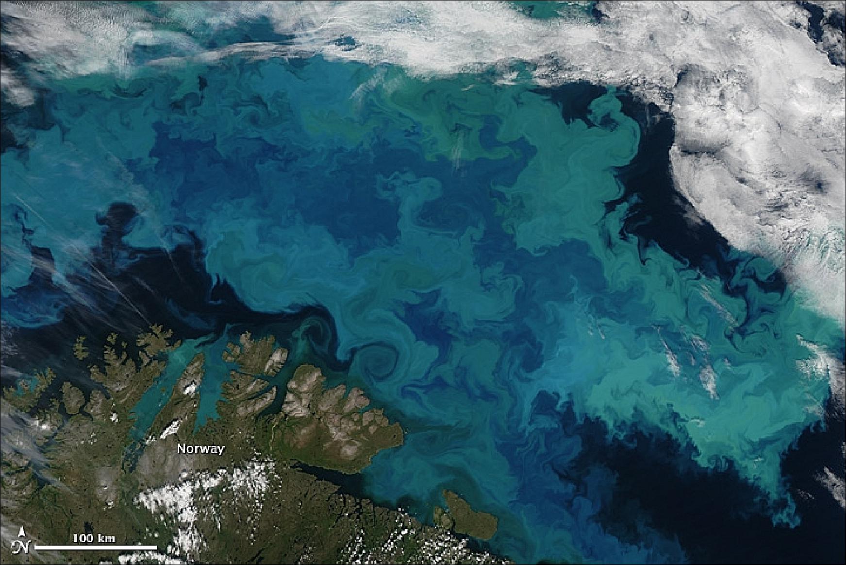 Figure 137: MODIS image of phytoplankton bloom in the Barents Sea observed on August 14, 2011 (image credit: NASA)
