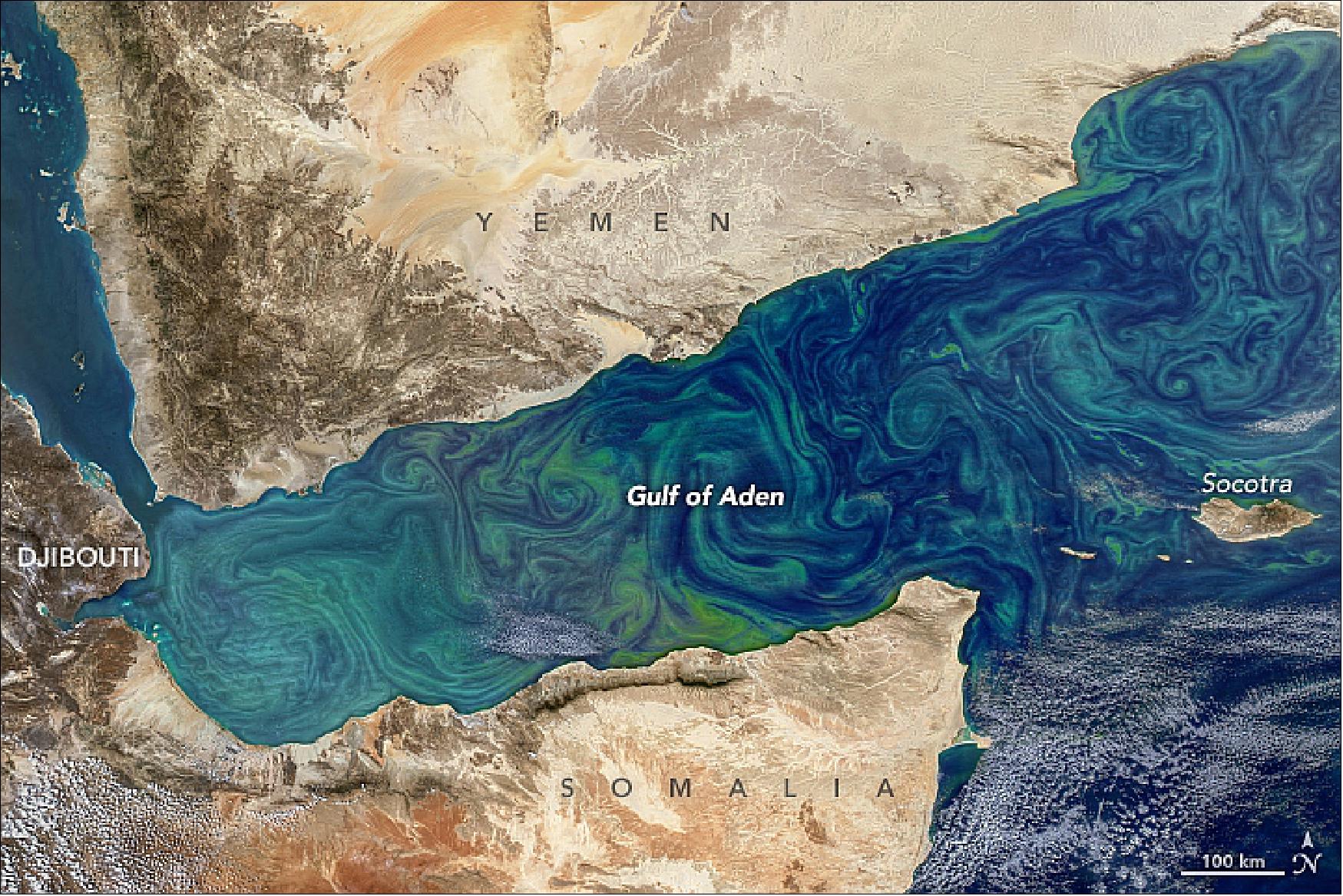 Figure 73: MODIS image of a winter phytoplankton bloom, acquired on 12 Feb. 2018 in the Gulf of Aden (image credit: NASA Earth Observatory, Gene C. Feldman)