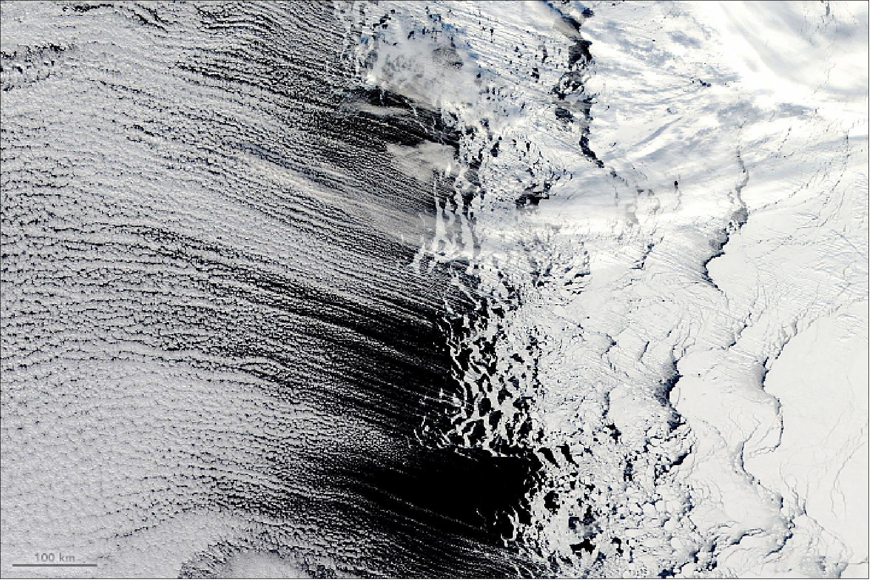 Figure 55: Cold air blows over warmer water to produce thin, parallel lines of clouds. MODIS on Aqua captured the scene on 12 September 2018 (image credit: NASA Earth Observatory, image by Lauren Dauphin, using MODIS data from LANCE/EOSDIS Rapid Response, text by Kasha Patel)