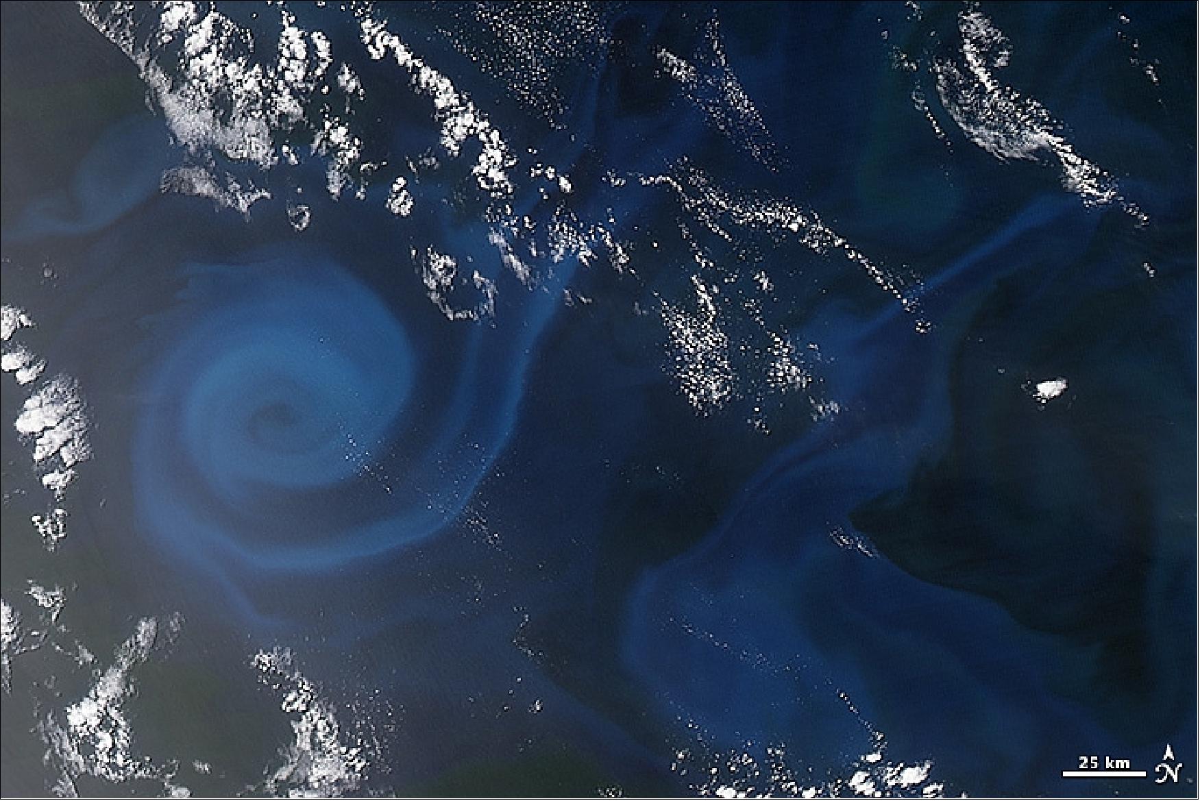 Figure 132: The Aqua satellite acquired this natural-color satellite image of a plankton bloom on Dec. 30, 2013. The eddy is centered about 600 km off the coast of Australia in the southeastern Indian Ocean (image credit: NASA Earth Observatory) 96)