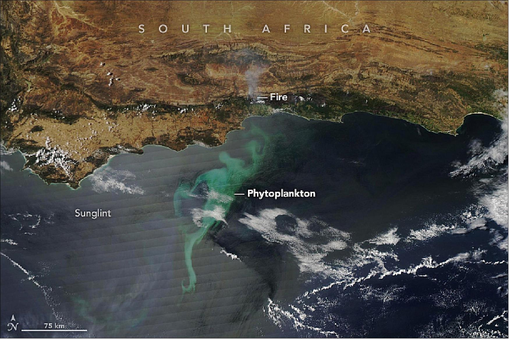 Figure 46: The MODIS instrument on NASA's Aqua satellite acquired this natural-color image on 14 November 2018. It shows a bloom of phytoplankton off the south coast of South Africa. The bloom first became visible on 9 November and was still underway on 16 November (image credit: NASA Earth Observatory, image by Lauren Dauphin, using MODIS data from NASA EOSDIS/LANCE and GIBS/Worldview, story by Michael Carlowicz)