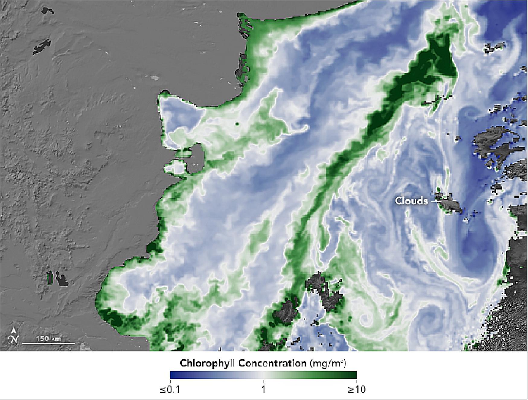 Figure 34: This MODIS image shows concentrations of chlorophyll–a, the primary pigment used by phytoplankton to capture sunlight. The darkest shades of green shown areas with the greatest chlorophyll concentrations. MODIS can see what is opaque to our eyes because it detects a range of visible light, infrared, and near-infrared wavelengths, and because scientists have spent decades refining their tools for spotting the chlorophyll signal amidst the noise of the ocean and atmosphere (image credit: NASA Earth Observatory, images by Joshua Stevens and Robert Simmon, using MODIS data from NASA's Ocean Color Web, Story by Michael Carlowicz)