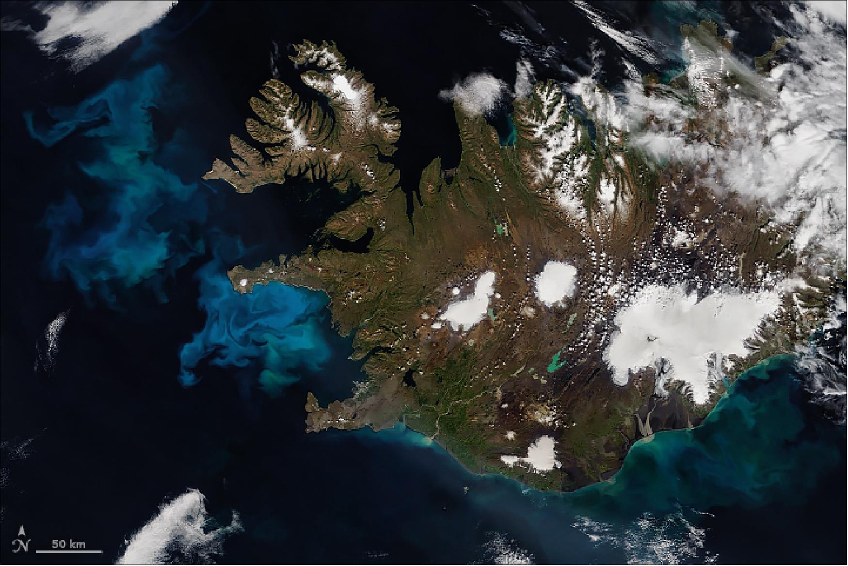 Figure 23: July 2019 brought the latest display of a phytoplankton bloom that occurs every year in the North Atlantic Ocean. MODIS on NASA’s Aqua satellite acquired the wide image of the bloom on 6 July 2019 (image credit: NASA Earth Observatory, images by Joshua Stevens, using MODIS data from NASA EOSDIS/LANCE and GIBS/Worldview. Story by Kathryn Hansen)