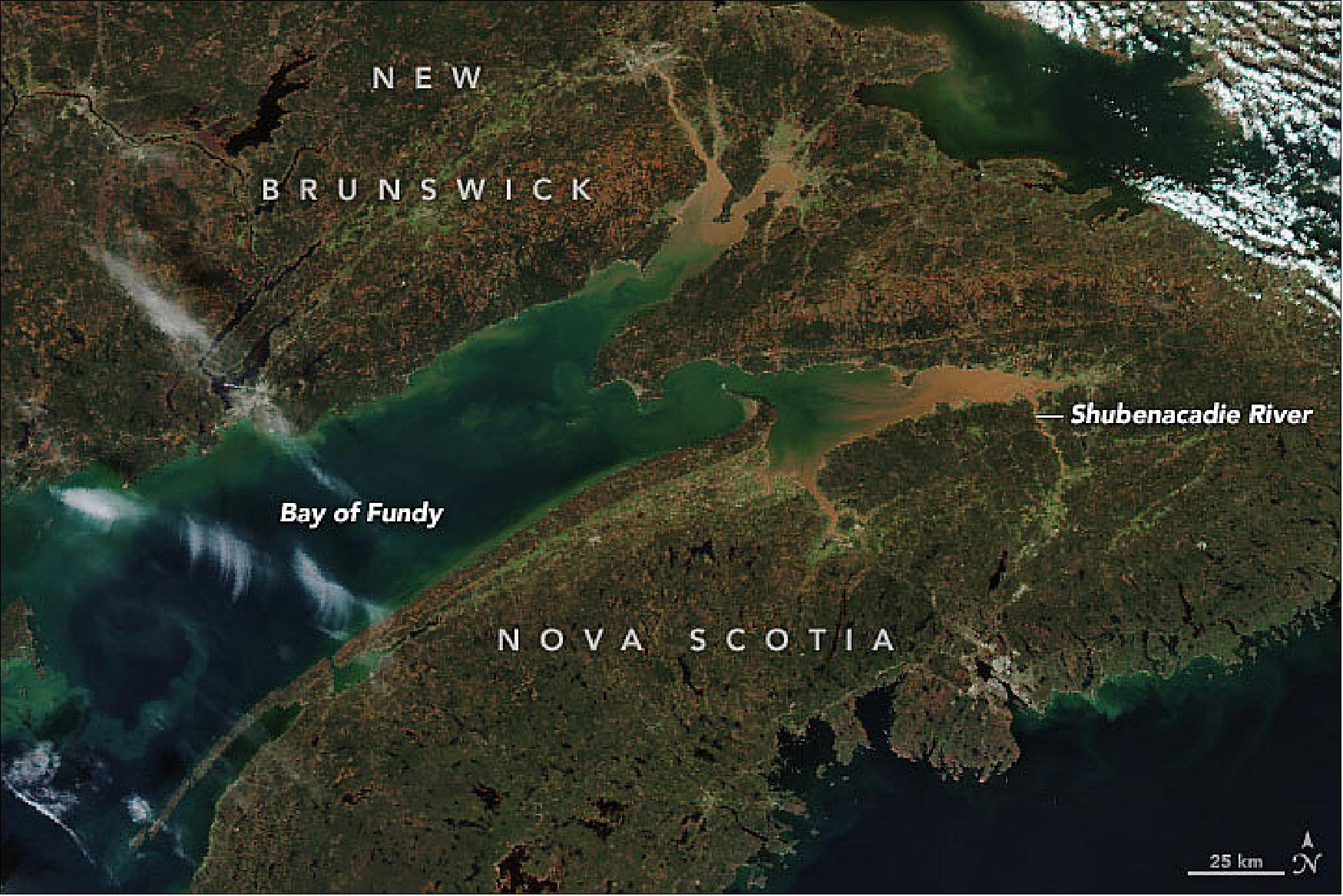 Figure 3: High tides in the funnel-shaped bay are anything but a bore when they collide with river water flowing in the opposite direction. On the afternoon of 20 October 2019, the MODIS instrument on NASA’s Aqua satellite captured this image of sediment-rich water in the Bay of Fundy, the Shubenacadie River, and other nearby waterways in far eastern Canada. On land, fall weather had transformed the foliage of hardwoods and other deciduous trees and shrubs ( image credit: NASA Earth Observatory, image by Joshua Stevens, using data from the Level 1 and Atmospheres Active Distribution System (LAADS) and Land Atmosphere Near real-time Capability for EOS (LANCE). Story by Adam Voiland)