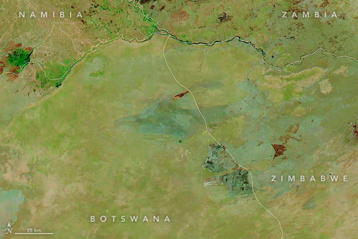Figure 51: MODIS on NASA's Aqua and Terra satellites acquired this series of images between September 15 and October 18, 2018. The fires burned along the border between Botswana and Zimbabwe, in and around Kasane Forest Reserve, Maikaelelo Forest Reserve, and Kazuma Pan National Park. The images were composed from a combination of visible and shortwave infrared light (MODIS bands 7-2-1). The burn scar appears in shades of orange and dark brown; vegetation is green; bare ground is light brown; and water is dark blue (image credit: NASA Earth Observatory, image by Lauren Dauphin, using MODIS data from NASA EOSDIS/LANCE and GIBS/Worldview. Story by Michael Carlowicz)