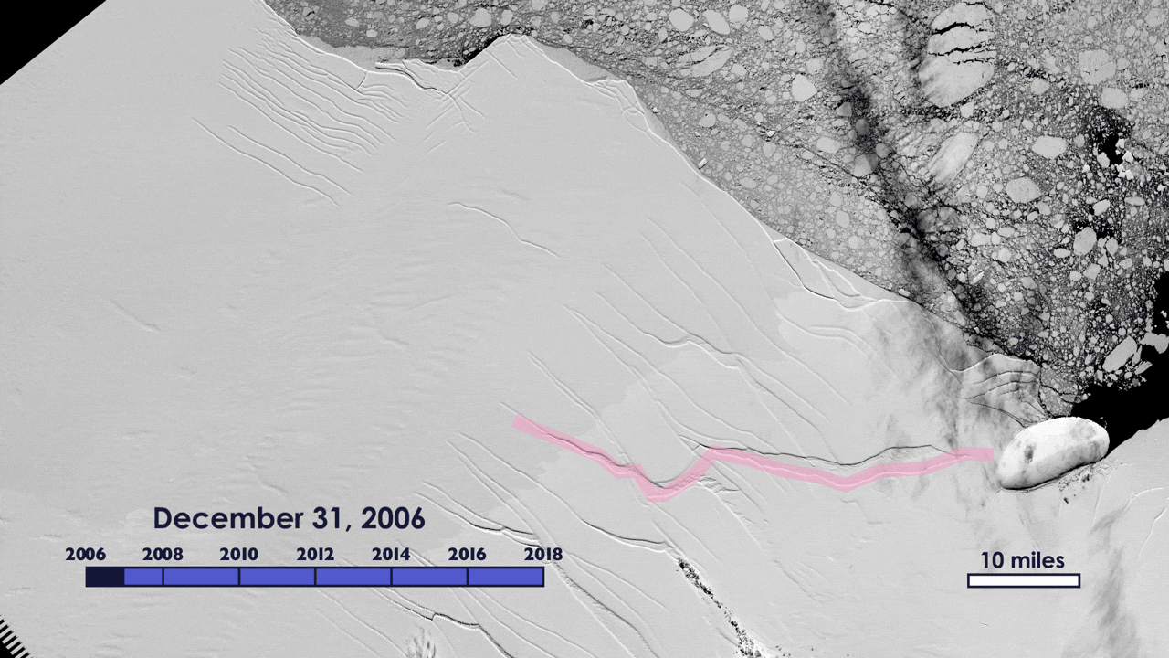 Figure 99: Animated GIF image of the growth of the crack in the Larsen C ice shelf, from 2006 to 2017, as recorded by NASA/USGS Landsat satellites (image credit: NASA/USGS Landsat)