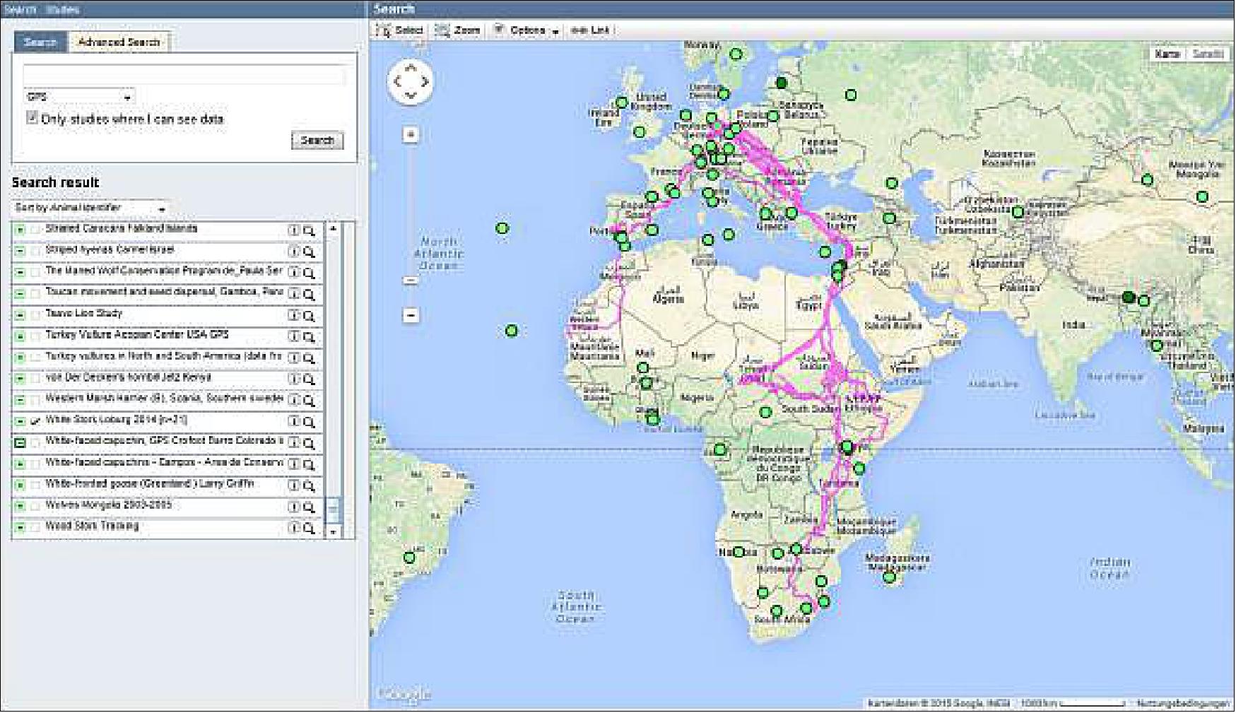 Figure 21: Position data of a white stork study using Movebank for storage and data display. The migration routes West and East of the Mediterranean Sea can be distinguished (image credit: MPIO)