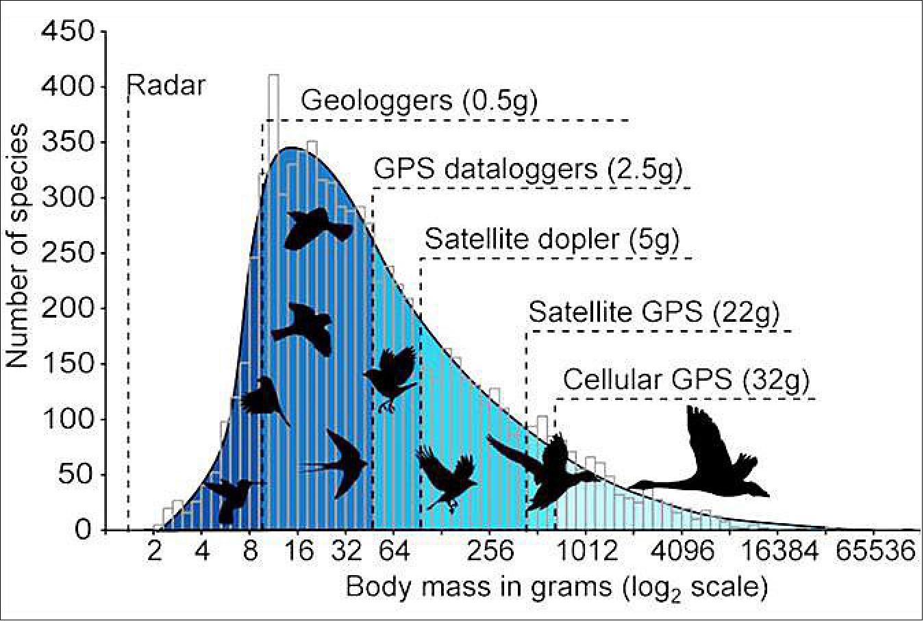 Figure 2: The frequency distribution of bird body masses in relation to possible tracking technologies; the minimum bird sizes for each technology are represented according to the 5% body-mass rule (image credit: ICARUS consortium, Ref. 4)