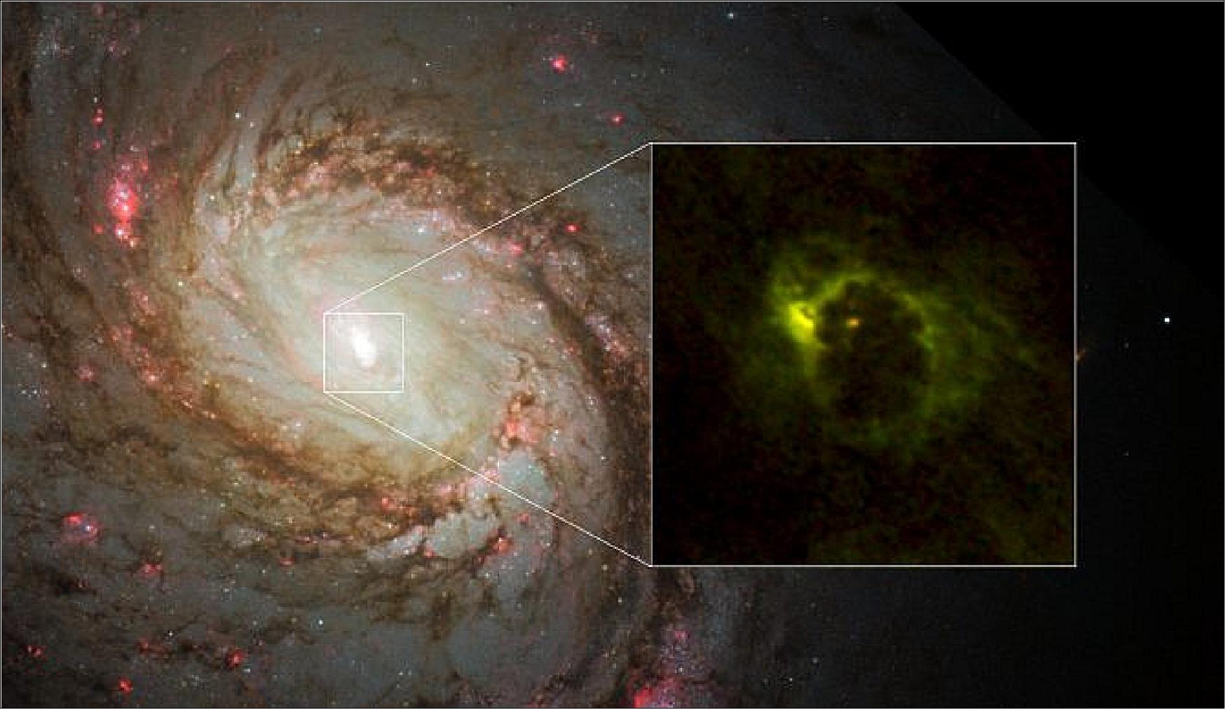 Figure 26: The central region of the spiral galaxy M77. The NASA/ESA Hubble Space Telescope imaged the distribution of stars. ALMA revealed the distribution of gas in the very center of the galaxy (ALMA image at right). ALMA imaged a horseshoe-like structure with a radius of 700 light-years and a central compact component with a radius of 20 light-years . The latter is the gaseous torus around the AGN (Active Galactic Nucleus). Red indicates emission from formyl ions (HCO+) and green indicates hydrogen cyanide emission (image credit: ALMA (ESO/NAOJ/NRAO), Imanishi et al., NASA/ESA Hubble Space Telescope and A. van der Hoeven)