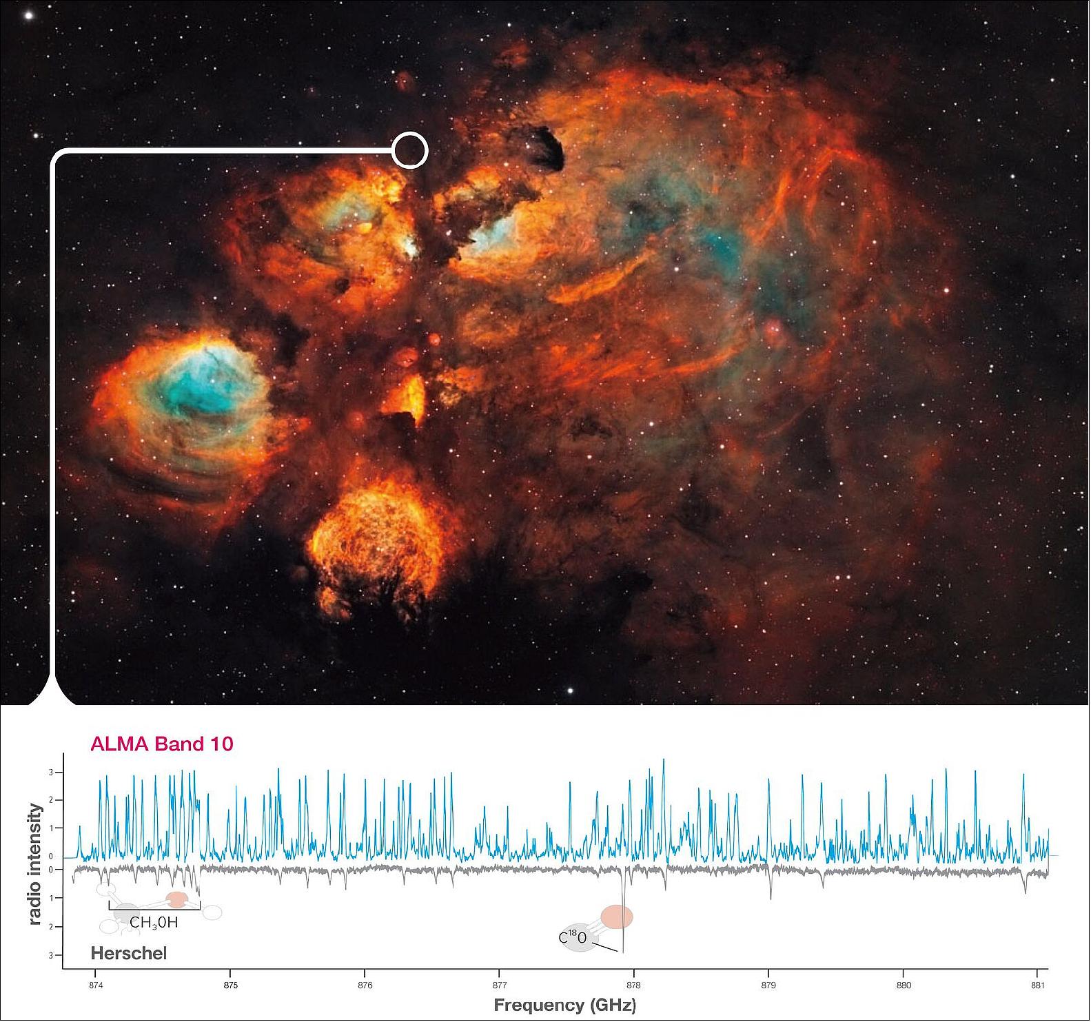 Figure 8: Photo of the star forming region NGC 6334I, also known as the Cat's Paw Nebula, taken by the NASA/ESA Hubble Space Telescope (top) and the high frequency radio spectra (bottom). The blue line shows the spectral lines detected by ALMA and the gray line shows the lines detected by the European Space Agency's Herschel Space Observatory. The ALMA observations detected more than ten times as many spectral lines. Note that the Herschel data have been inverted for comparison. Two molecular lines are labeled for reference (image credit: S. Lipinski/NASA & ESA, NAOJ, NRAO/AUI/NSF, B. McGuire et al.)