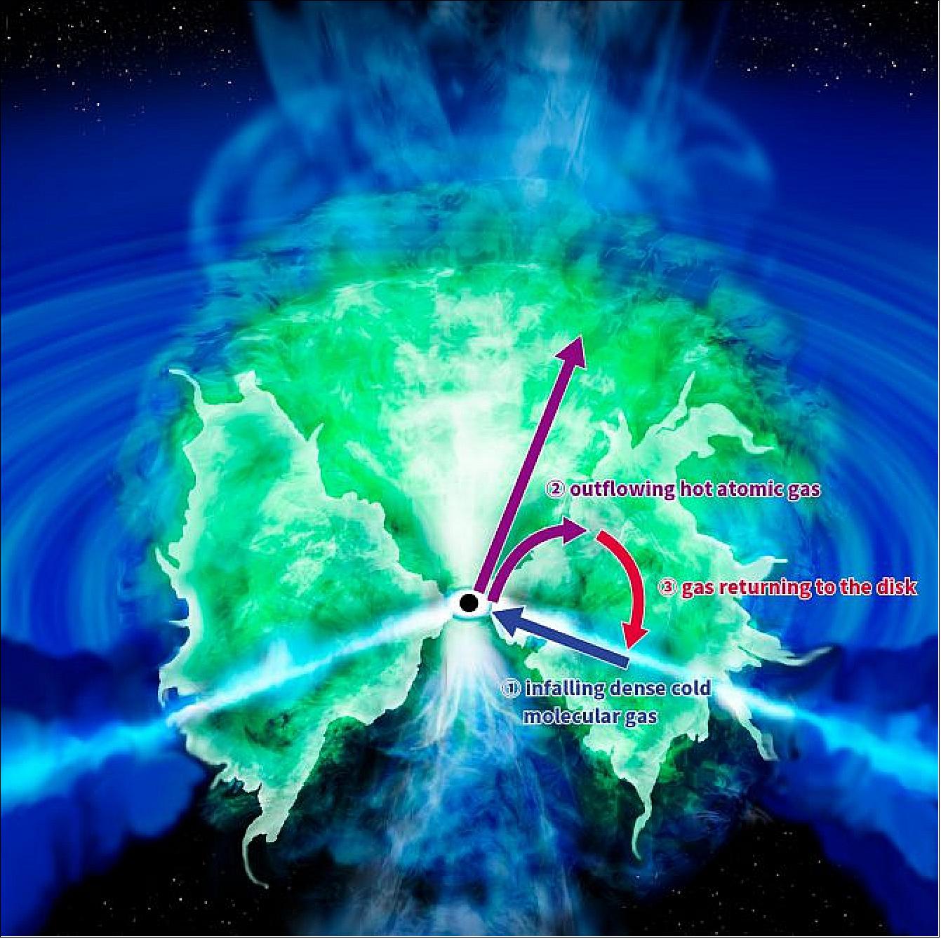 Figure 6: Artist's impression of the gas motion around the supermassive black hole in the center of the Circinus Galaxy. The three gaseous components form the long-theorized "donut" structure: (1) a disk of infalling dense cold molecular gas, (2) outflowing hot atomic gas, and (3) gas returning to the disk (image credit: NAOJ)