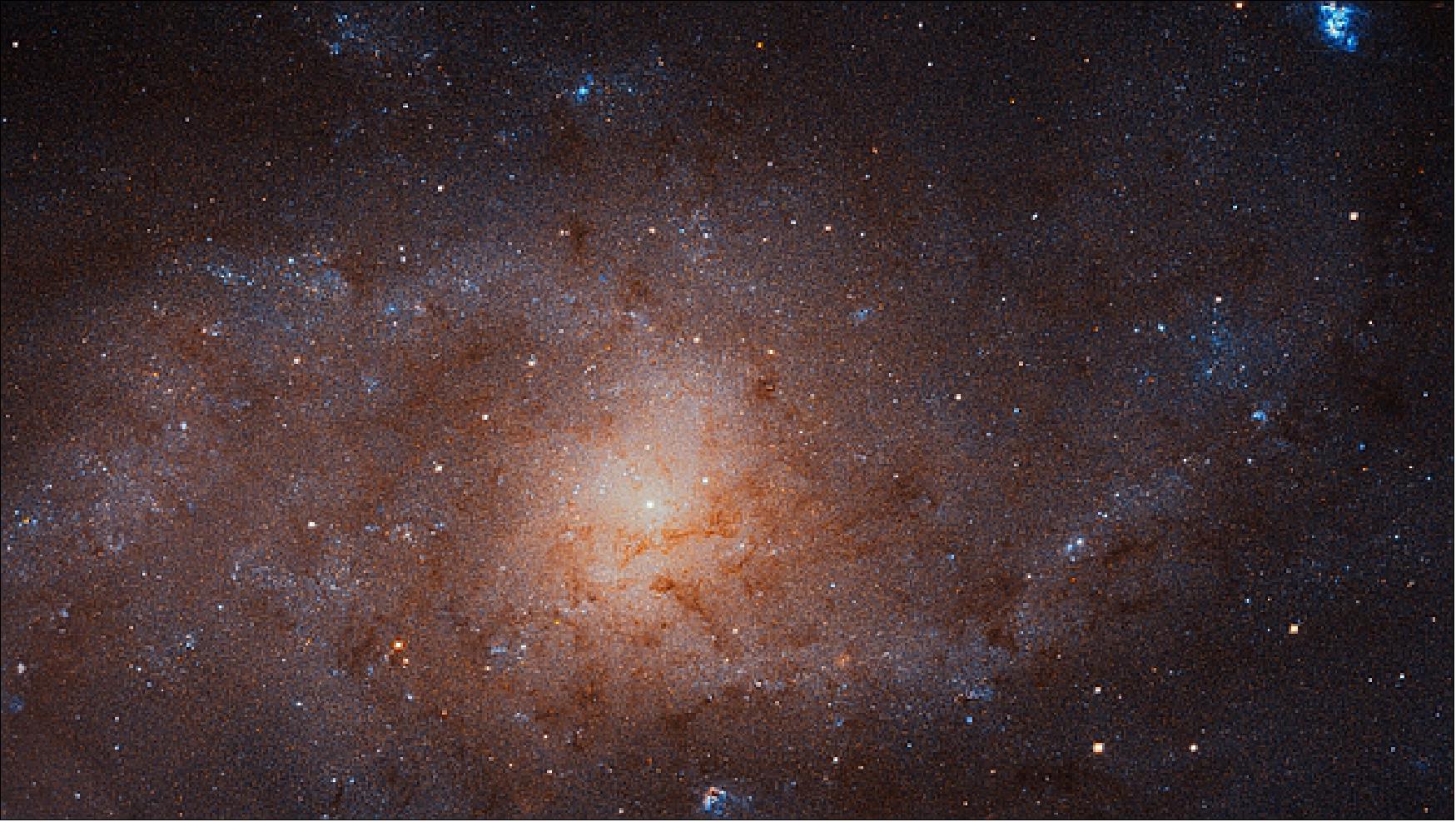 Figure 83: This gigantic image of the Triangulum Galaxy – also known as Messier 33 – is a composite of about 54 different pointings with Hubble's Advanced Camera for Surveys. With a staggering size of 34,372 times 19,345 pixels, it is the second-largest image ever released by Hubble. The mosaic of the Triangulum Galaxy showcases the central region of the galaxy and its inner spiral arms. Millions of stars, hundreds of star clusters and bright nebulae are visible. This image is too large to be easily displayed at full resolution and is best appreciated using the zoom tool [image credit: NASA, ESA, and M. Durbin, J. Dalcanton, and B. F. Williams (University of Washington)]