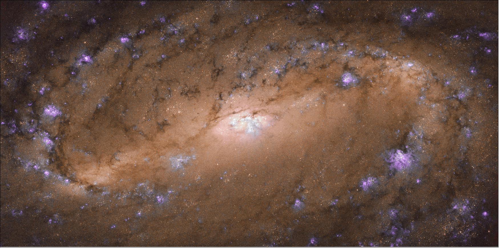 Figure 50: NGC 2903 is located about 30 million light-years away in the constellation of Leo (the Lion), and was studied as part of a Hubble survey of the central regions of roughly 145 nearby disk galaxies. This study aimed to help astronomers better understand the relationship between the black holes that lurk at the cores of galaxies like these, and the rugby-ball-shaped bulge of stars, gas and dust at the galaxy’s center — such as that seen in this image (image credit: ESA/Hubble & NASA, L. Ho et al.)